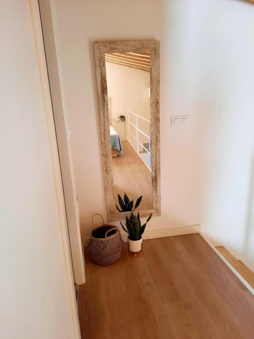 Apartamento Loft céntrico con patio Bodega San Javier Jerez de la Frontera Exterior foto